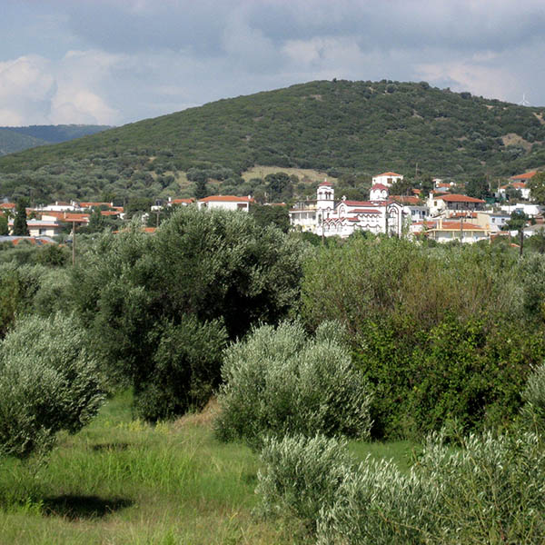 A view of Dikella, Evros